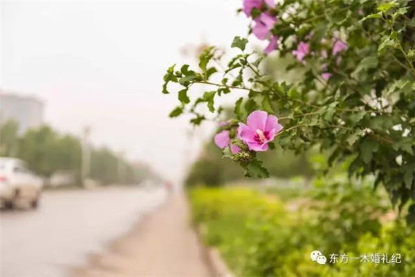 微信图片_20180529163345_副本.jpg